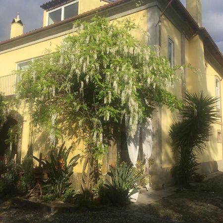 Villa Casa Magnólia Braga Exterior foto