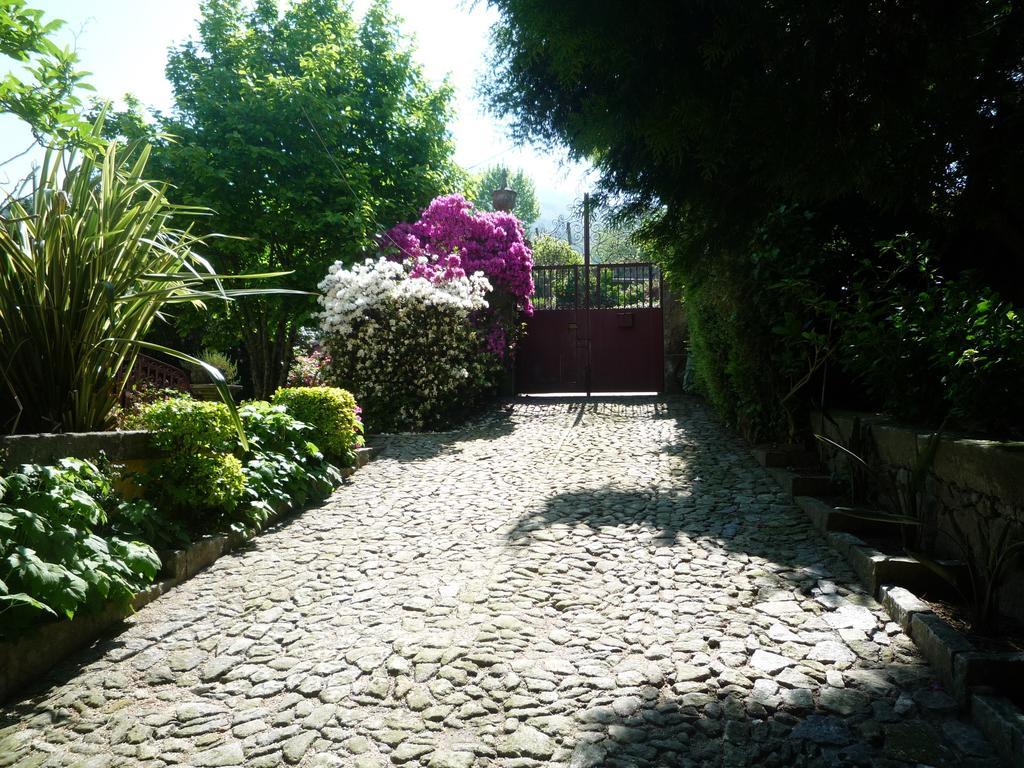 Villa Casa Magnólia Braga Exterior foto